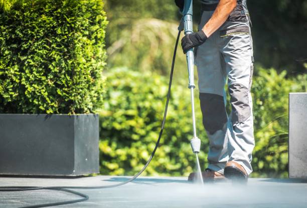 Best Driveway Pressure Washing  in Cleveland, FL